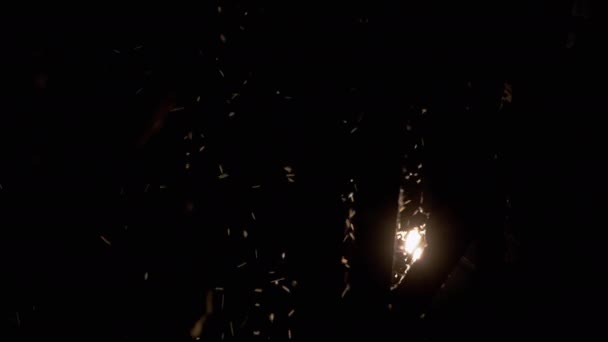 飞虫、蚊子在夜间的街灯上。4K — 图库视频影像