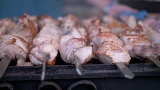 Кулинария Juicy, Crispy Grilled Kebab with Smoke on a Metal Skewer. 4K — стоковое видео