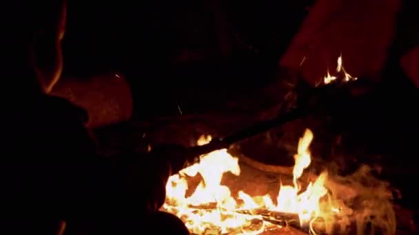子供はそり遊び、燃える枝、夜のたき火の近くの棒で遊ぶ。4K — ストック動画