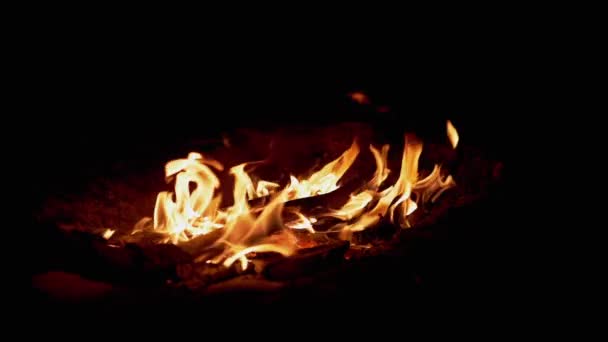 森の中の夜の明るいかがり火バーンズ。スローモーション — ストック動画