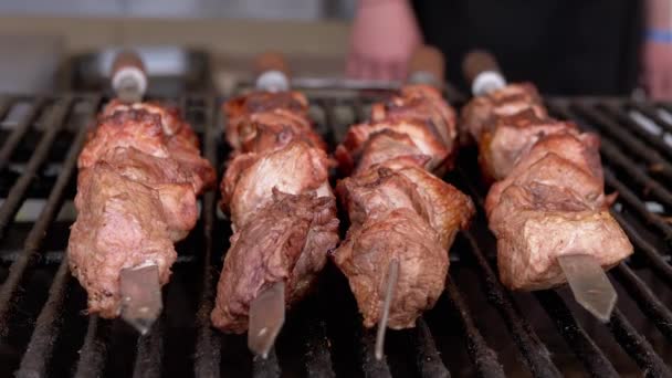 Juicy Crispy Kebabs på en Metal Skewer Lie på Grill Grate. Zoom — Stockvideo