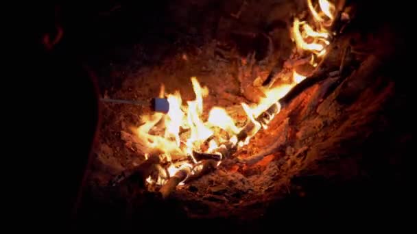 Hungry Child Grills Marshmallow em espetos de madeira, sentados à noite Bonfire. Zoom — Vídeo de Stock