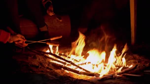 Hladoví turisté grilují klobásy na dřevěných šiškách, sedí u nočního táboráku. 4K — Stock video