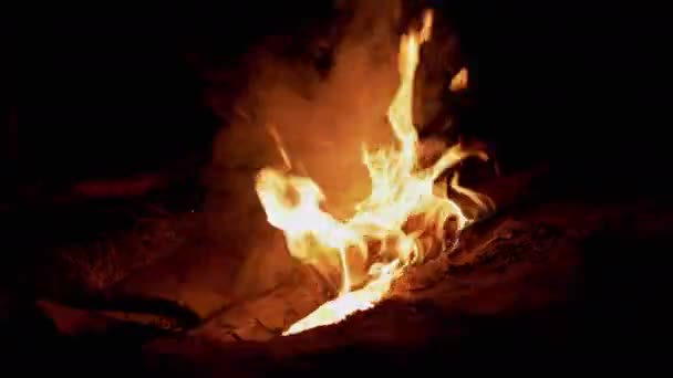 Night Bright Bonfire Burns in Forest. 4K — Vídeo de Stock