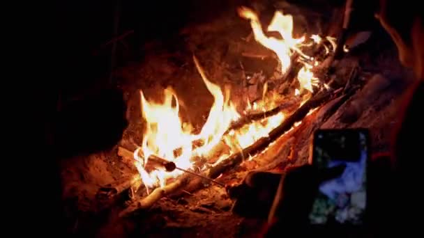 Głodni turyści grillujący kiełbaski na drewnianych szufladach, siedzi na nocnym ognisku. Powiększenie — Wideo stockowe
