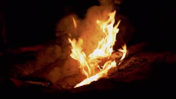 森の中の夜の明るいたき火のバーンズ。4K 。スローモーション — ストック動画