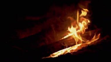Ormanda Parlak Şenlik Ateşi yanıyor. 4K