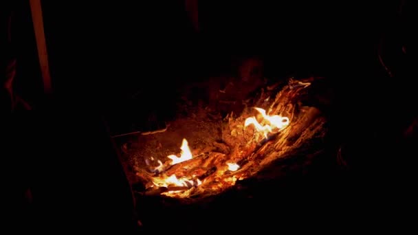 空腹の子供は夜のたき火のそばに座って、木製の串焼きにマシュマロを焼く。ズーム — ストック動画