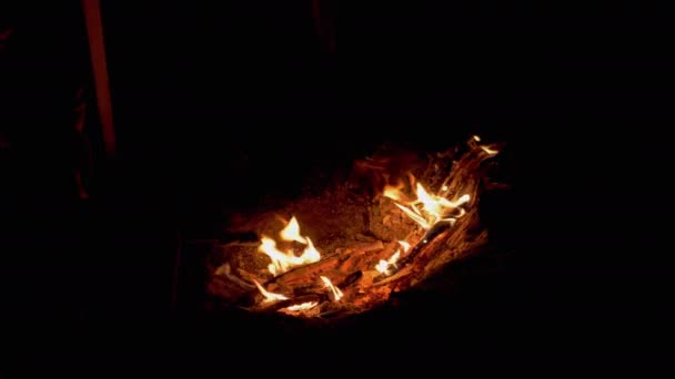 Hungry Child Grills Marshmallow em espetos de madeira, sentados à noite Bonfire. 4K — Vídeo de Stock