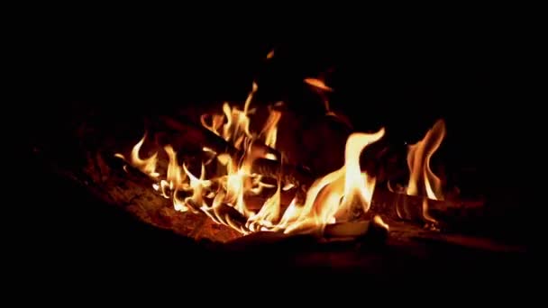 Nocne ognisko płonie w lesie. Zwolnione tempo — Wideo stockowe