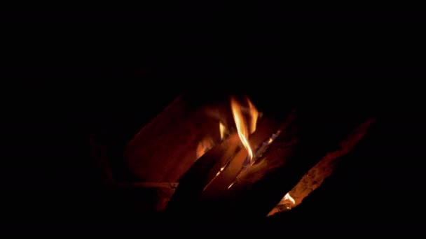 Kindling with Dry Firewood a Night Fire in the Forest. 4K — Stock video