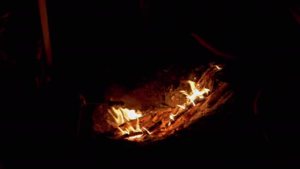 Hladové dětské grily marshmallow na dřevěných šiškách, sedí u nočního táboráku. 4K — Stock video