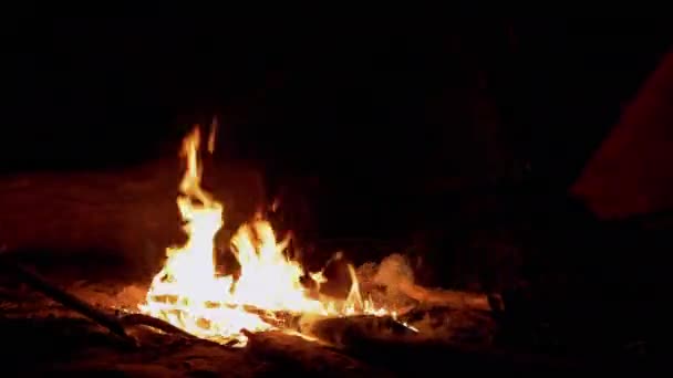 Notte brillante falò brucia sullo sfondo di tende turistiche nella foresta. 4K — Video Stock