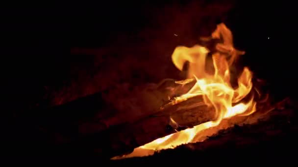 Night Bright Bonfire Burns in Forest. 4K — Vídeo de Stock