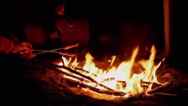 Faminto família grelhando salsichas em espetos de madeira, senta-se à noite fogueira. 4K — Vídeo de Stock