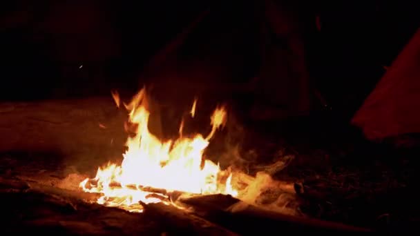 ( 영어 ) Night Bright Bonfire Burns Against Background of Tourist Tents in Forest. 4K — 비디오