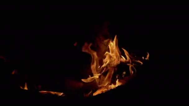 Night Bright Bonfire Burns in Forest. 4K — Vídeo de stock