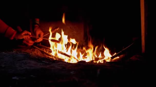 Turistas hambrientos asando salchichas en tijeras de madera, se sienta por la noche fogata. Zoom: — Vídeos de Stock