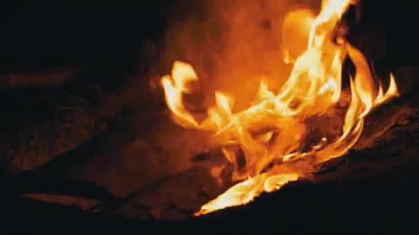 森の中の夜の明るいたき火のバーンズ。ズーム — ストック動画