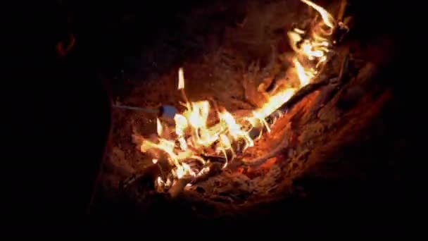 空腹の子供は夜のたき火のそばに座って、木製の串焼きにマシュマロを焼く。4K — ストック動画