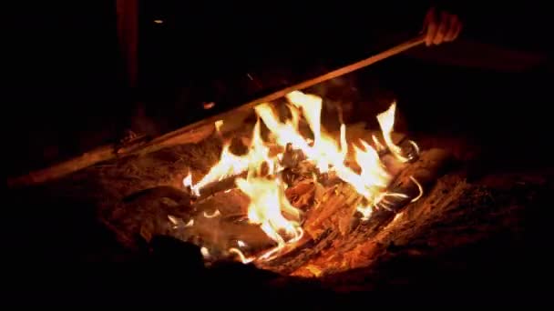 Male in Forest Throws Sticks, Branches, Firewood in a Burning, Night Bonfire. 4K — Wideo stockowe