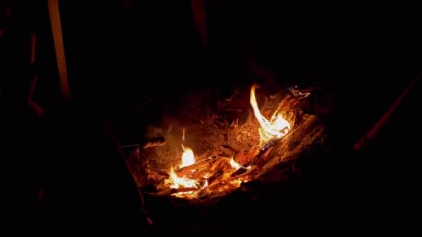 Hungry Child Grills Marshmallow on Wooden Skewers, Siting by Night Bonfire. 4K — Stock Video