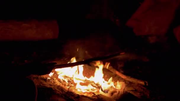 Criança brinca com uma Smoldering, Burning Branch, uma vara perto de uma fogueira noturna. 4K — Vídeo de Stock