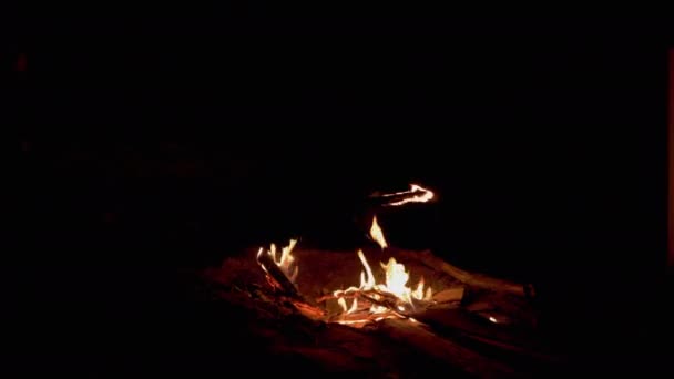 Kind spielt mit einem glimmenden, brennenden Ast, einem Stock neben einem nächtlichen Lagerfeuer. 4K — Stockvideo