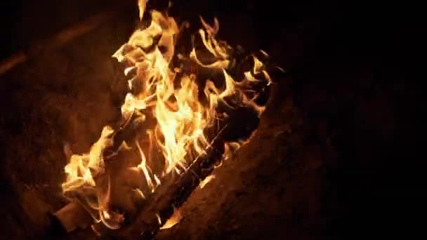 Nächtliches helles Lagerfeuer brennt im Wald. Zoom — Stockvideo