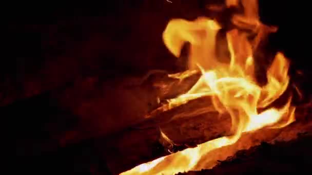 Night Bright Bonfire Burns in Forest. Zoom — Vídeo de Stock