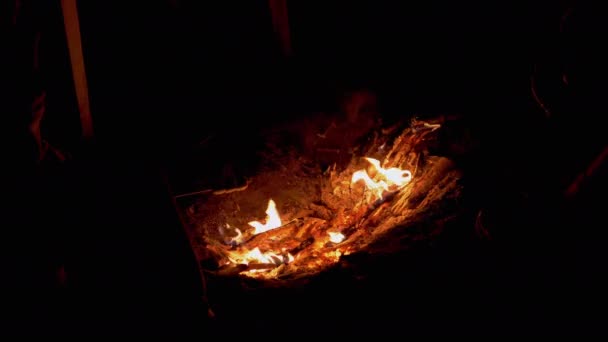饥饿的孩子在木柴槽上烤棉花糖，在夜间篝火边咀嚼。4K — 图库视频影像