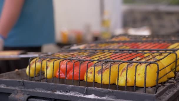 Grilling Grilled Bell Peppers on Metal Grill Grate, Outdoors. Zoom — Stockvideo