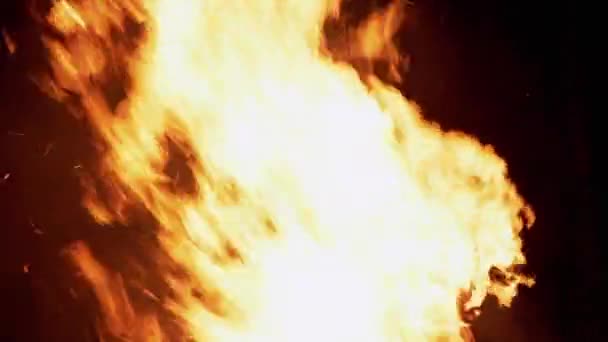 Bright Blazing Bonfire with Burning Hot Tongues of flame at Night in the Forest — Stock Video