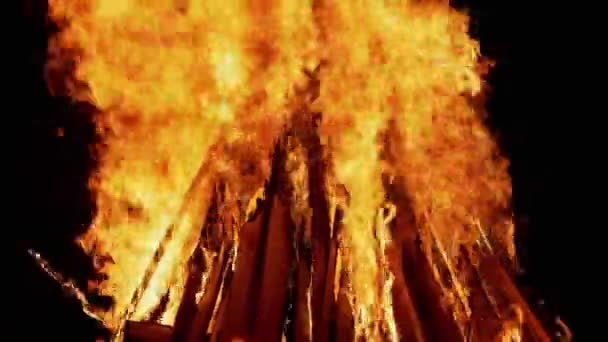 Zářící oheň s hořícím dřevem v noci v lese. Přiblížení — Stock video