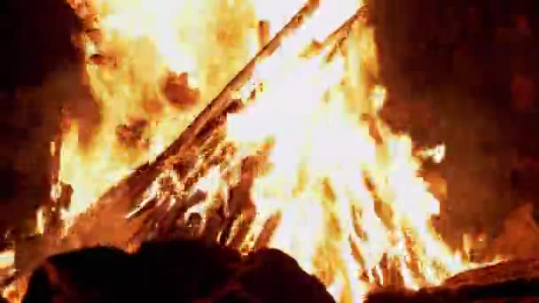 Bright Blazing Bonfire with Burning Hot Firewood at Night in the Forest. 4K — Stock Video