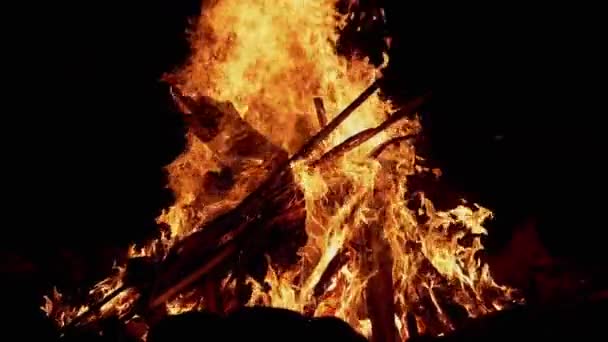 Helder laaiend kampvuur met brandend brandhout 's nachts in het bos — Stockvideo