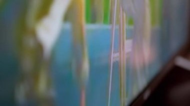 Renkli Pikseller, Soyut Desenler, Programın Yakından Görüntülendiğinde