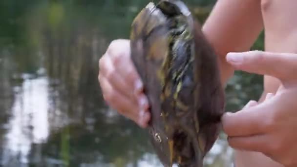 Niño sostiene en brazos a una tortuga atrapada en el río. 4K — Vídeos de Stock