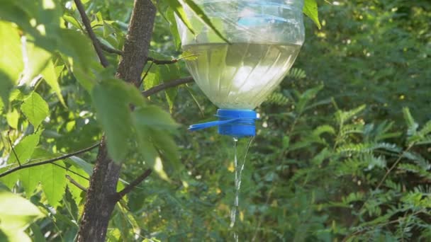 Lavabo fait maison pour les vacanciers, les touristes dans une forêt décidue. 4K. Gros plan — Video