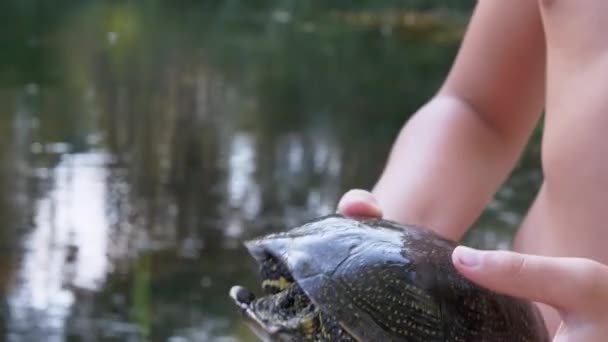 Barnet har en sköldpadda fångad i floden. 4K — Stockvideo