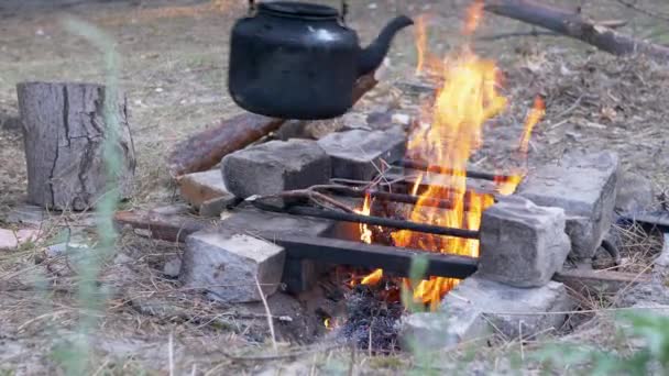 Man handen zet een oude rook zwarte theepot op een vreugdevuur in hout. 4K. Sluiten. — Stockvideo