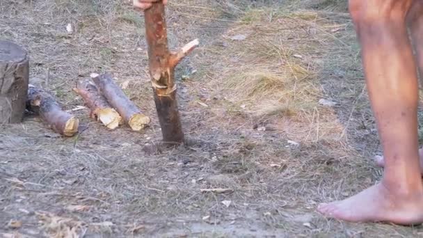 Toeristen hakken hout blootsvoets buiten in Dennenbos. Zoom uit. Sluiten. — Stockvideo