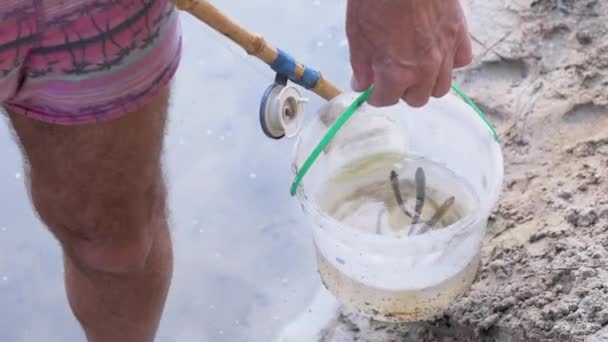 Wędkarz trzyma w dłoniach plastikowe wiadro z złowioną małą rybką. 4K — Wideo stockowe