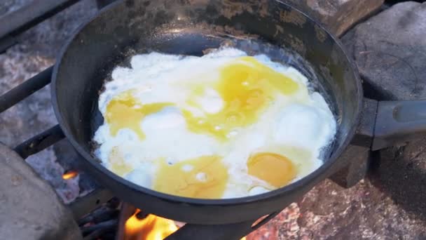 Ormandaki Şenlik Ateşi 'nde Kızarmış Yumurta Hazırlama. 4K — Stok video