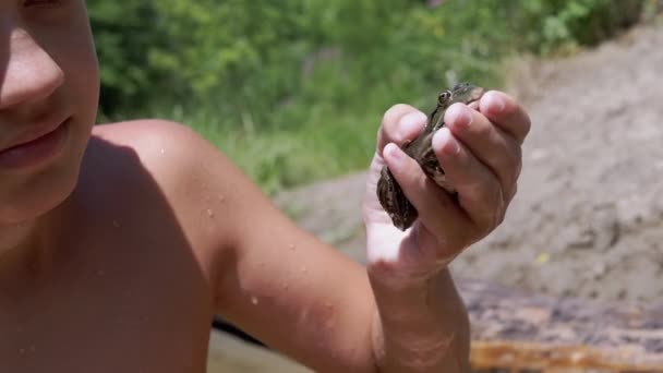 Dítě drží v ruce zelenou žábu na pozadí písčitého břehu řeky — Stock video