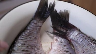 Bir kaseye yerleştirilmiş taze balıkların çeşitli çeşitleri gösteriliyor. Hepsi hazırlığa ya da pişirmeye hazır.