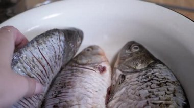 Yakından çekilen bir fotoğrafta, bir kasede güzelce yerleştirilmiş taze balığın yemek pişirme sürecini vurguluyor.