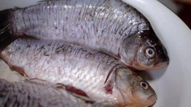 Taze balığı gösteren yüksek kaliteli görüntüler, mutfak ürünleri veya deniz ürünleri tariflerinde kullanmak için idealdir.