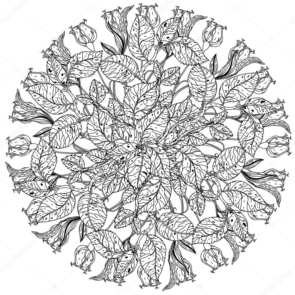 Natura morta da colorare libro stile antistress — Vettoriale Stock