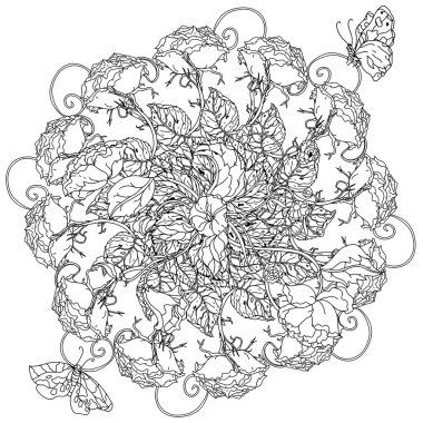 elle çizilmiş yaban gülü seti